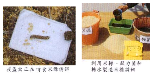 %e8%aa%98%e6%ae%ba%e6%b3%95